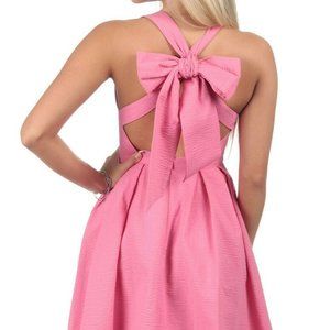 New Pink Lauren James Livingston Solid Dress Sz XS